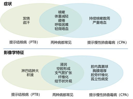 图片28.png